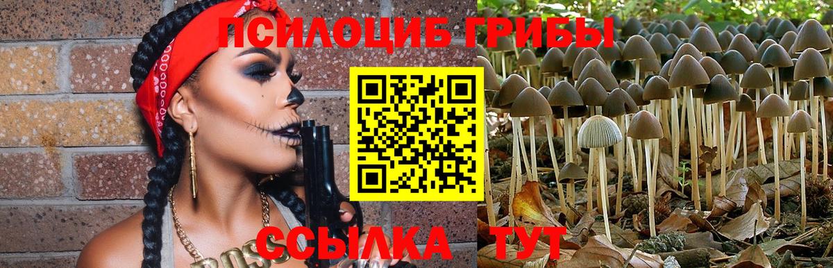 Тобольск  Псилоцибиновые грибы MAGIC MUSHROOMS  закладки  Вход с VPN 