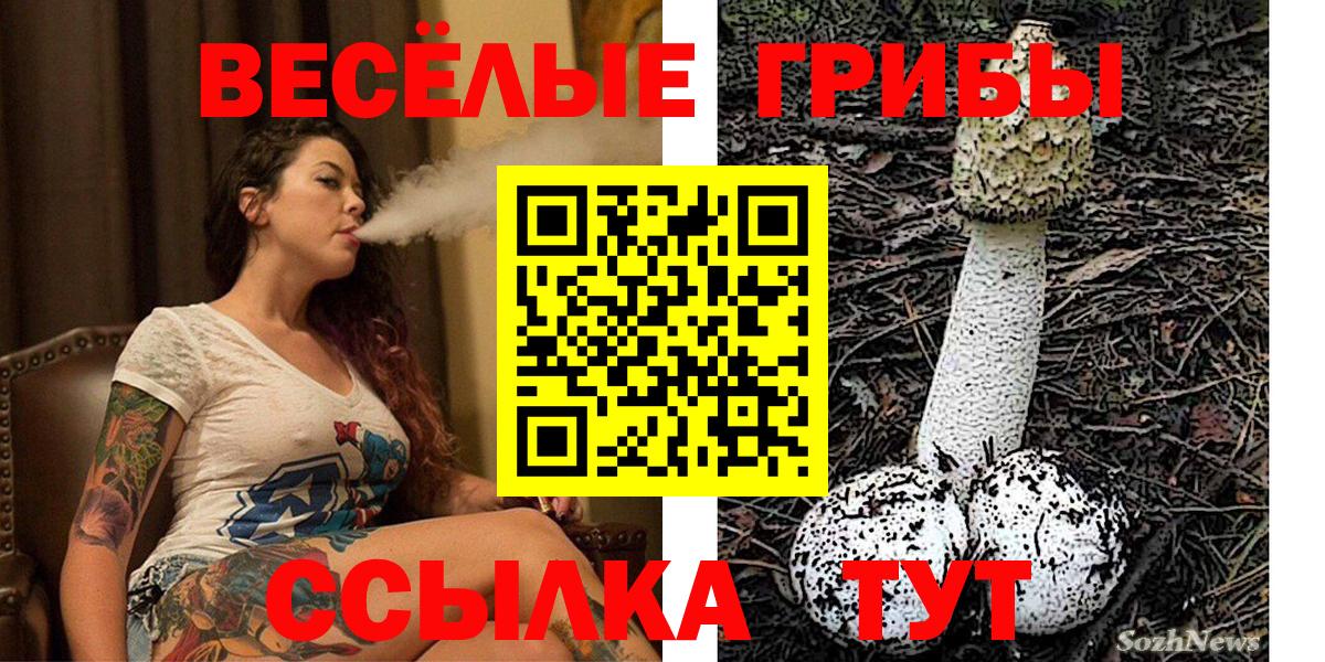 Псилоцибиновые грибы прущие грибы Тобольск